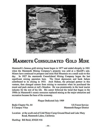 Mammoth Consolidated Gold Mine - 7/22/89